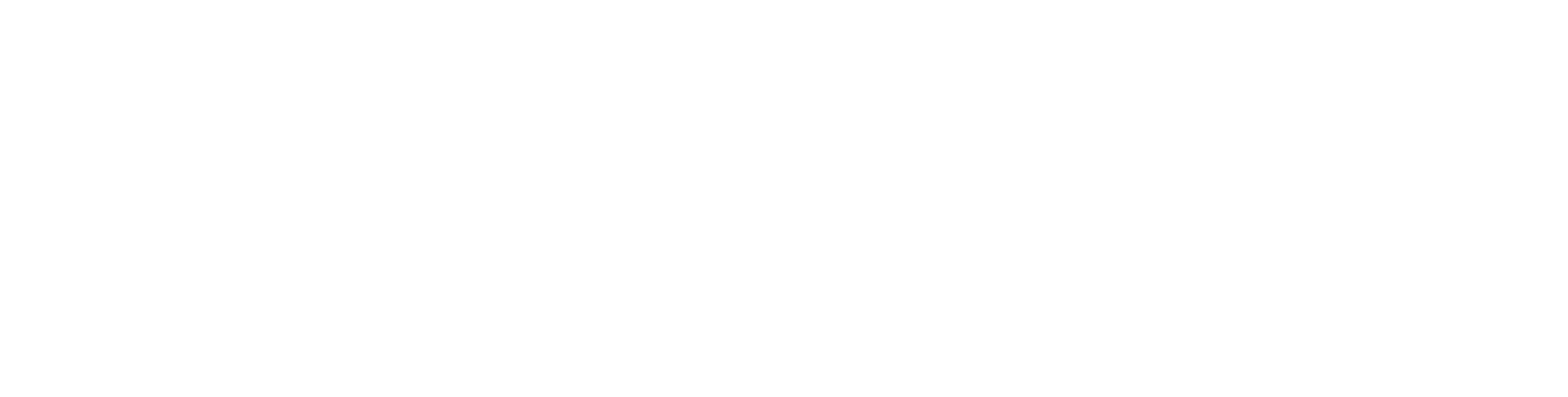 HAARVI VANTAGE